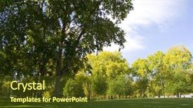  Presentation with london - Slide deck with bright-colors-in-the-trees background and a  colored foreground