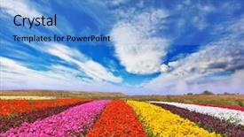  Presentation with strong wind - Presentation design having bright contrasting colors picturesque lane background and a teal colored foreground