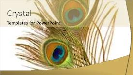  Presentation with peacock feather - Slide deck featuring bright-feather-of-a-peacock background and a yellow colored foreground