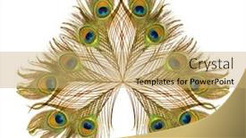  Presentation with peacock feather - Audience pleasing slides consisting of bright-feather-of-a-peacock backdrop and a yellow colored foreground