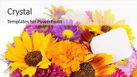  Presentation with paper quilling colorful paper flowers - Audience pleasing slides consisting of bright flowers with paper note backdrop and a sky blue colored foreground