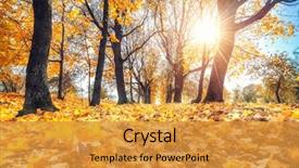  Presentation with sunny doll - Colorful PPT theme enhanced with bright foliage in sunny autumn backdrop and a gold colored foreground