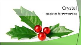  Presentation with christmas holly - Slides having bright green christmas holly background and a white colored foreground