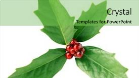  Presentation with christmas holly - PPT theme having bright green christmas holly background and a  colored foreground
