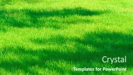  Presentation with green city - Audience pleasing PPT theme consisting of bright-green-grass-background backdrop and a forest green colored foreground