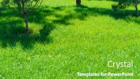  Presentation with green city - Beautiful PPT theme featuring bright-green-grass-background backdrop and a shamrock green colored foreground