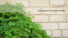  Presentation with green leaves - Presentation theme consisting of bright-green-leaves-of-wild background and a lemonade colored foreground