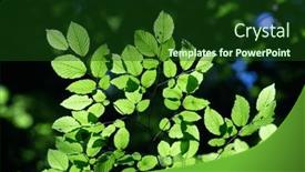  Presentation with green-nature - PPT theme with bright-green-leaves-summer-nature and a forest green colored foreground