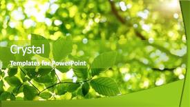  Presentation with green beauty - Audience pleasing PPT layouts consisting of statistics - businessman enterpreneur motivation objective concept backdrop and a gray colored foreground