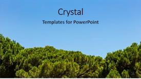  Presentation with pine trees - Slide deck consisting of bright green tops of pine background and a  colored foreground