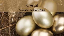  Presentation with eggs egg carton egg box - Beautiful PPT theme featuring bright idea - golden nest eggs backdrop and a coral colored foreground