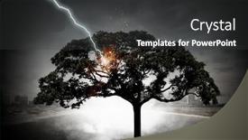  Presentation with lightning - Audience pleasing PPT theme consisting of bright lightning hit the tree backdrop and a dark gray colored foreground
