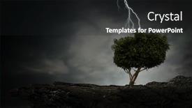  Presentation with lightning - Slide set having bright-lightning-hit-the-tree background and a dark gray colored foreground