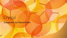  Presentation with lilac bush - Presentation theme featuring bright-lilac-bush-leaf-skeletons background and a gold colored foreground