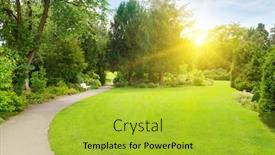  Presentation with meadow - Amazing presentation design having bright-morning-sun-illuminates-beautiful backdrop and a yellow colored foreground