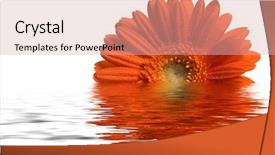  Presentation with lays - Cool new presentation theme with  backdrop and a  colored foreground