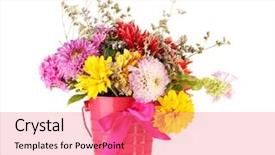  Presentation with pink flowers - Beautiful PPT theme featuring bright pink bucket with flowers backdrop and a  colored foreground