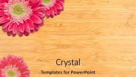  Presentation with water bamboo - Audience pleasing presentation theme consisting of a bamboo wood background backdrop and a yellow colored foreground