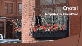  Presentation with decoration - Presentation design enhanced with bright red flowers of cyclamen background and a red colored foreground