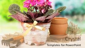  Presentation with garden tools - Amazing PPT layouts having bright saintpaulia and garden tools on natural background backdrop and a coral colored foreground