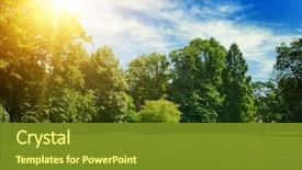  Presentation with summer trees - Presentation with bright summer sun illuminates park background and a tawny brown colored foreground