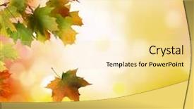  Presentation with autumn leaves falling - Presentation design enhanced with bright sun - autumn falling leaves background background and a  colored foreground