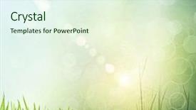  Presentation with bright white - Beautiful PPT layouts featuring bright sun - fresh spring green grass isolated backdrop and a cream colored foreground