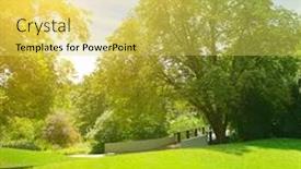  Presentation with summer sun - Beautiful presentation design featuring bright sun in green summer park backdrop and a yellow colored foreground