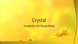  Presentation with bright yellow - Slide deck enhanced with bright sunflowers on yellow background background and a light gray colored foreground