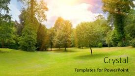  Presentation with park - Slide deck enhanced with bright-sunny-day-in-summer background and a gold colored foreground