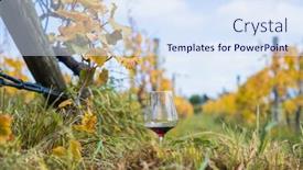  Presentation with high quality - Slides with bright-sunny-lit-grape background and a sky blue colored foreground