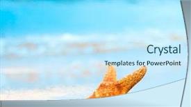  Presentation with dream - Presentation theme enhanced with bright sunset - dream closeup detail background and a cool aqua colored foreground