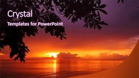  Presentation with flat peach tree - Slides enhanced with bright sunset - sunrise in tropical sea background and a wine colored foreground