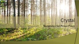  Presentation with woods - Slides with bright sunset in the woods background and a coral colored foreground