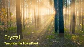  Presentation with woods - Slides with bright-sunset-in-the-woods background and a tawny brown colored foreground