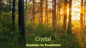  Presentation with woods - Slide deck enhanced with bright-sunset-in-the-woods background and a  colored foreground