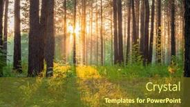  Presentation with woods - Theme featuring bright-sunset-in-the-woods background and a tawny brown colored foreground