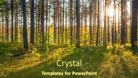  Presentation with woods - PPT layouts featuring bright-sunset-in-the-woods background and a  colored foreground