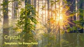  Presentation with woods - Presentation theme consisting of bright-sunset-in-the-woods background and a tawny brown colored foreground