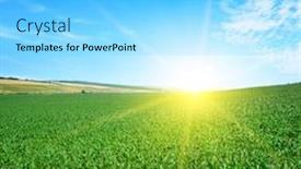  Presentation with corn field - Cool new slides with bright-sunset-over-green-corn backdrop and a light blue colored foreground