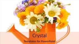  Presentation with bright white - Slides enhanced with bright wildflowers in watering background and a gold colored foreground