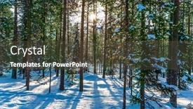  Presentation with forest morning - Beautiful PPT layouts featuring bright winter frosty day lapland the winter polar sun lows above the horizon in the morning snow-covered coniferous forest the concept of extreme and active tourism backdrop and a tawny brown colored foreground