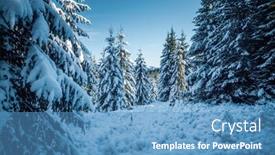  Presentation with snow day - Slide set with bright-winter-spruces-in-snow background and a teal colored foreground