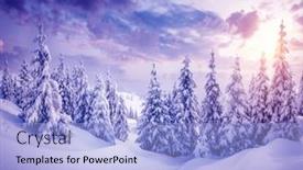  Presentation with happy new year - Slides having bright-winter-spruces-in-snow background and a light blue colored foreground