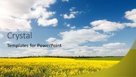  Presentation with agrarian - Audience pleasing slide deck consisting of bright-yellow-canola-field backdrop and a light blue colored foreground