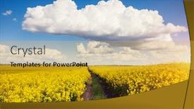  Presentation with agrarian - Theme with bright-yellow-canola-field background and a yellow colored foreground