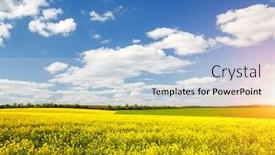  Presentation with agrarian - PPT layouts enhanced with bright-yellow-canola-field background and a light blue colored foreground