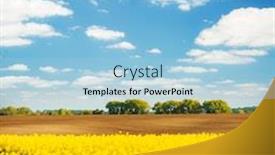  Presentation with bright yellow - Beautiful slides featuring bright-yellow-canola-field backdrop and a light blue colored foreground