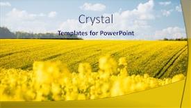  Presentation with agrarian - Slide set with bright-yellow-canola-field background and a sky blue colored foreground
