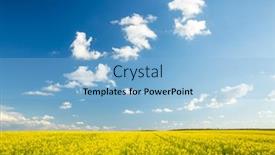  Presentation with agrarian - Cool new slide set with bright-yellow-canola-field backdrop and a light blue colored foreground